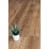 Кварцвиниловый ламинат Alpine Floor Real Wood ECO2-1 Дуб Royal